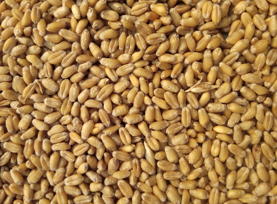 Aashirvaad Whole Wheat Atta 10 kg